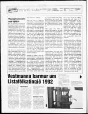 Síða 2