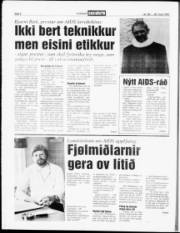 Síða 6