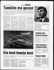 Síða 7