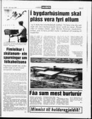Síða 13