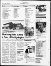 Síða 19