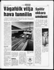 Síða 3