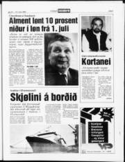 Síða 5