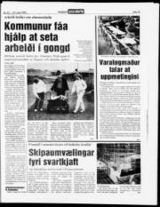 Síða 15