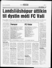 Síða 17