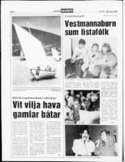 Síða 6