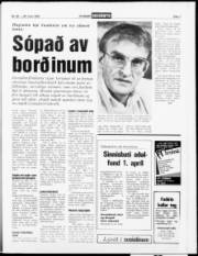 Síða 7