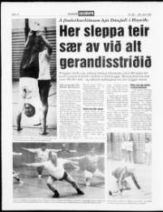 Síða 12