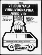 Síða 17