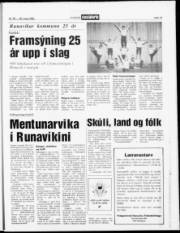 Síða 19