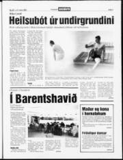 Síða 3