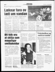 Síða 4