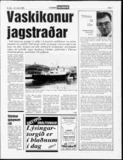 Síða 7