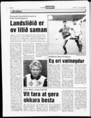 Síða 18