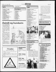 Síða 19