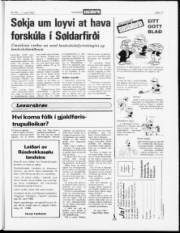 Síða 17