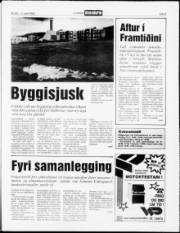 Síða 5