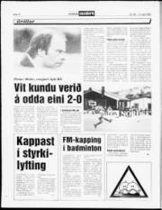 Síða 12