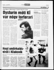 Síða 13
