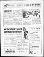 Síða 2