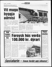 Síða 7