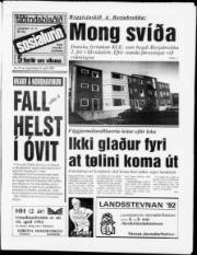 Síða 1
