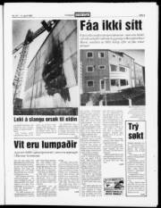 Síða 3