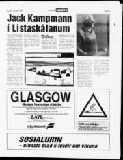 Síða 13