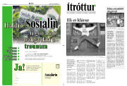 Síða 11