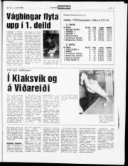 Síða 17