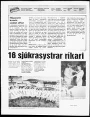 Síða 2