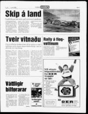 Síða 3