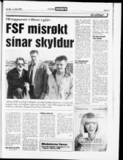 Síða 13