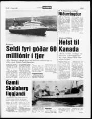 Síða 3