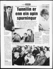 Síða 6