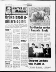 Síða 9