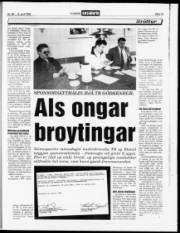 Síða 13