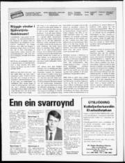 Síða 2