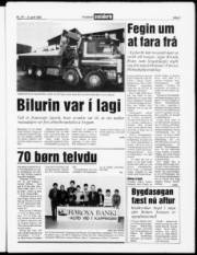 Síða 3