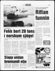 Síða 5