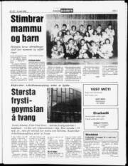 Síða 7
