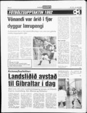 Síða 12