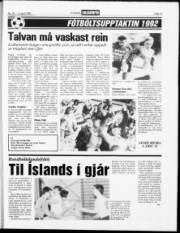 Síða 13