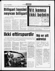 Síða 3