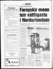Síða 6