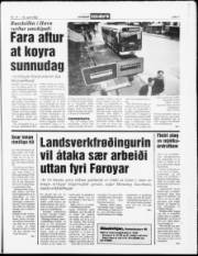 Síða 7