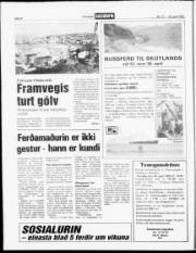 Síða 8