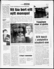 Síða 15