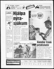 Síða 20