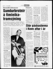 Síða 5